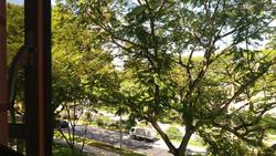 Casafina (D16), Condominium #143319852